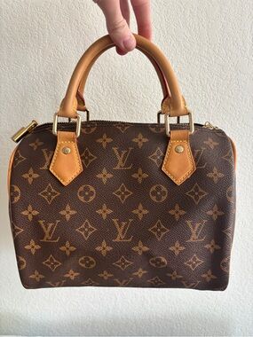 Louis Vuitton Monogram Canvas Satchel in Brown and Tan